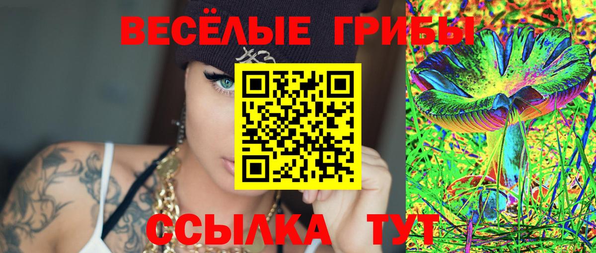Галлюциногенные грибы прущие грибы Рязань